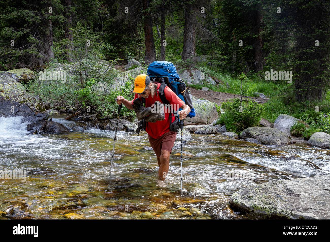 WY05309-00...WYOMING - Hiker fording Clark Creek on the Continental ...