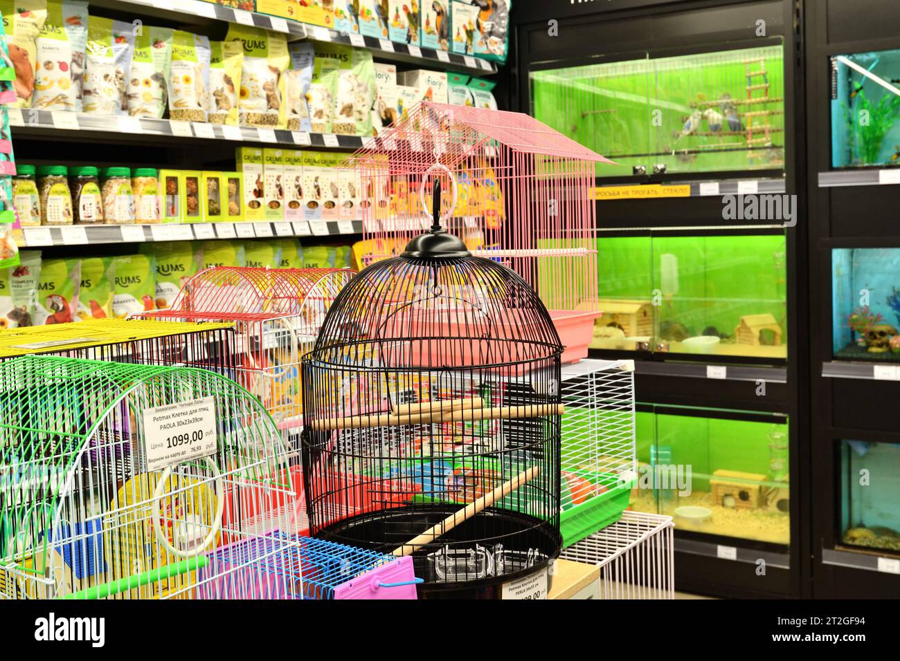 Pet shop interior hi-res stock photography and images - Alamy