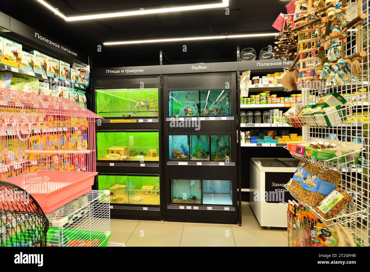 Moscow, Russia - Oct 19. 2023. Birds and fishes in the Four paws pet store at Zelenograd Stock Photo