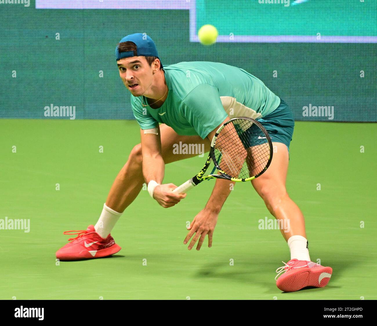 20231019dino-hi-res-stock-photography-and-images-alamy