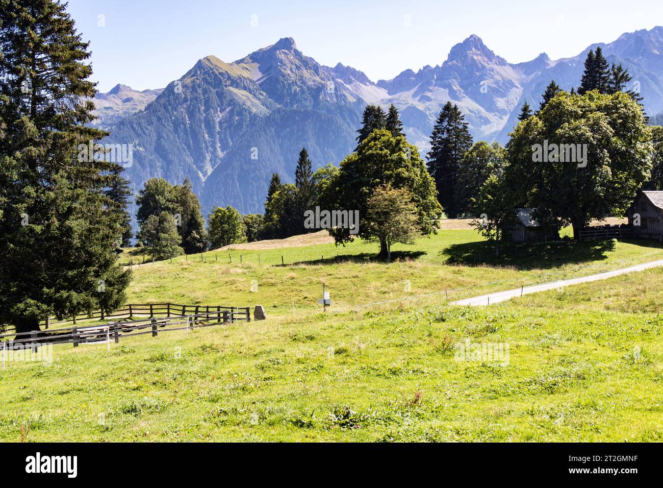 Meadow in the Austrian alps Stock Photo