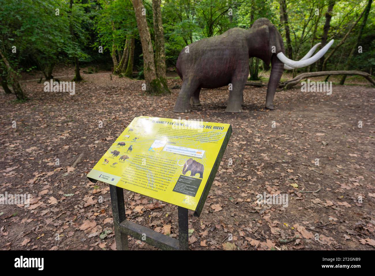 explanatory panels and figure of a life-size mammoth, Paleolithic Park of the Cueva del Valle, Rasines, Cantabria, Spain Stock Photo