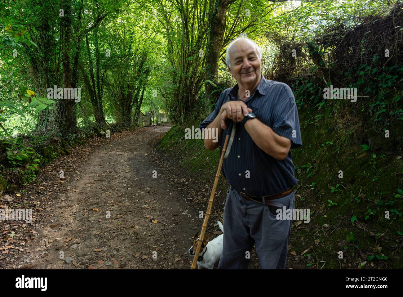 old man enjoying the walk in the forest, Paleolithic Park of the Cueva del Valle, Rasines, Cantabria, Spain Stock Photo