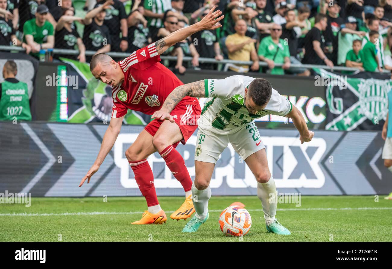 Stefan loncar hi-res stock photography and images - Alamy