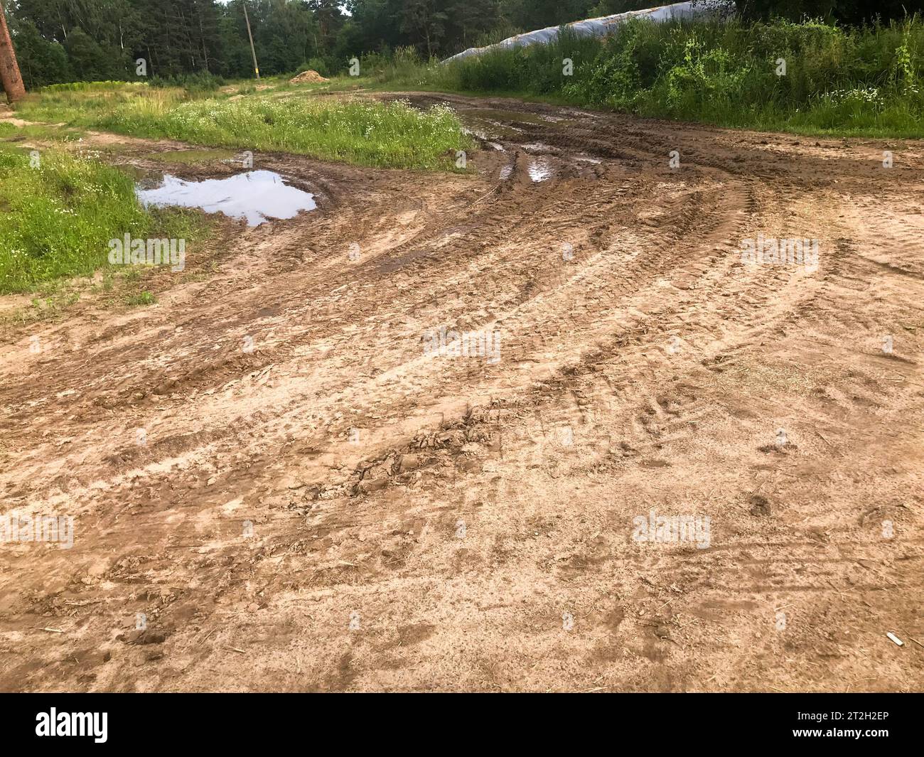 Texture of a dirty bad dirt road dirt road with puddles and clay drying mud with cracks and ruts. Off-road. The background. Stock Photo