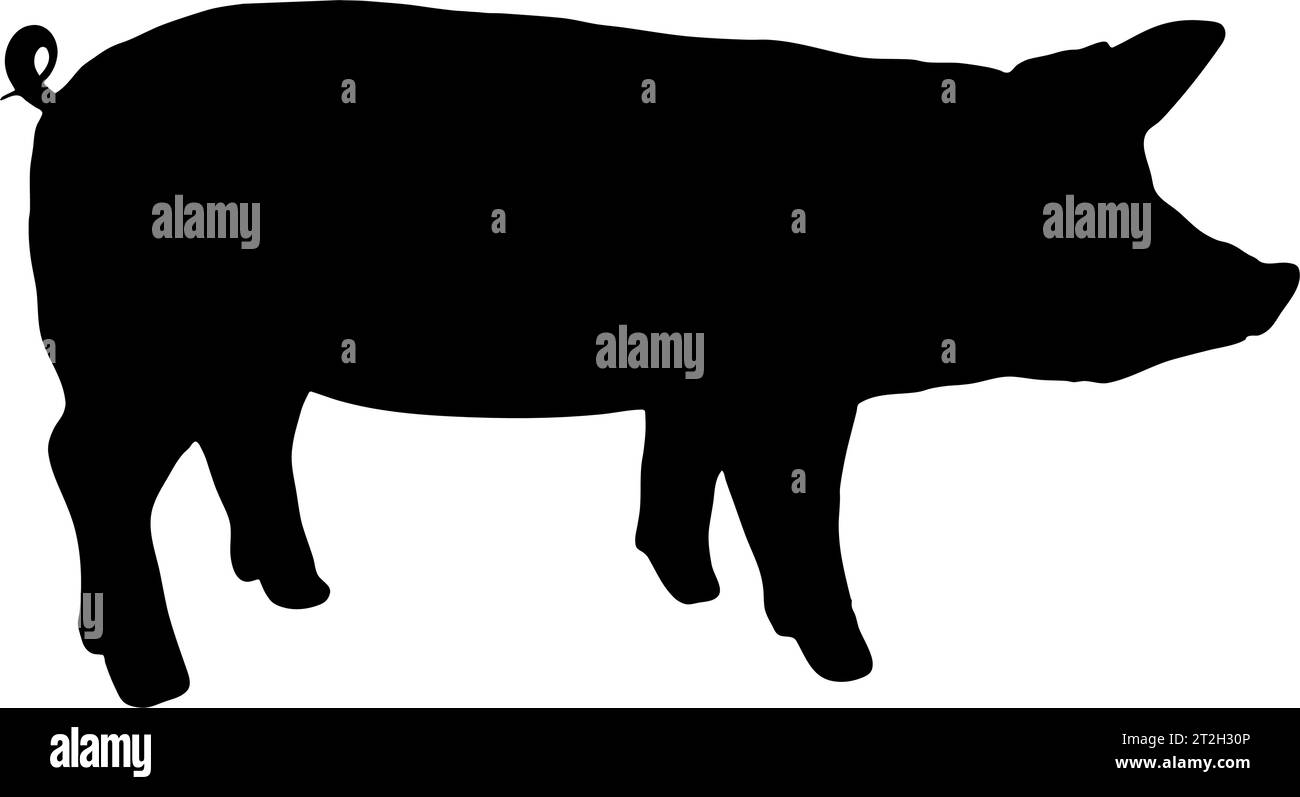 Silhouette in black of a pig, profile view, isolated Stock Vector