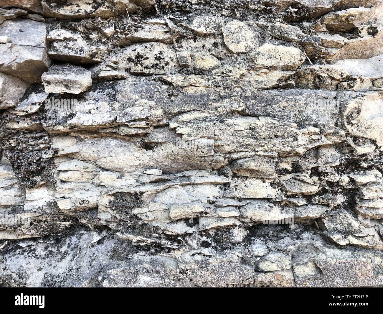 Premium Photo  White and grey sharp pebble texture