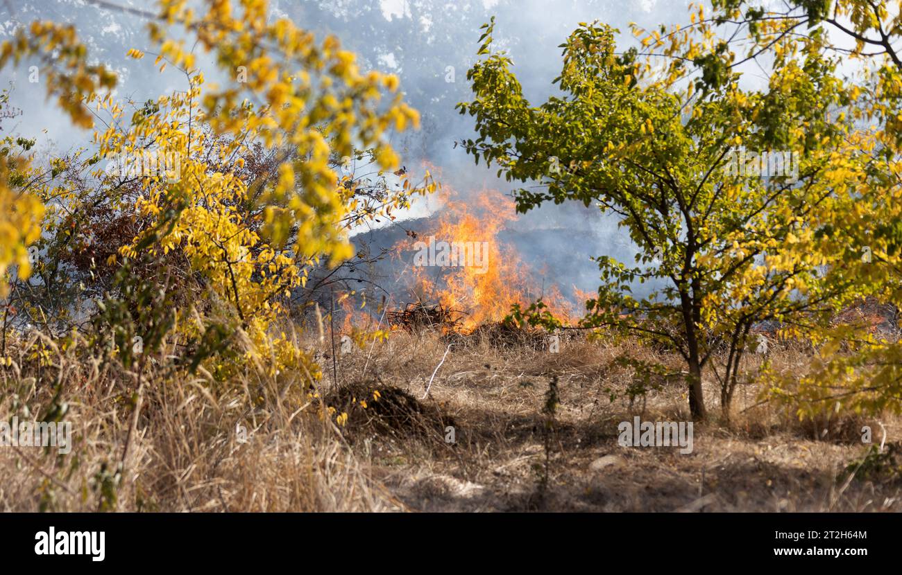 steppe fires during severe drought completely destroy fields. Disaster causes regular damage to environment and economy of region. The fire threatens Stock Photo