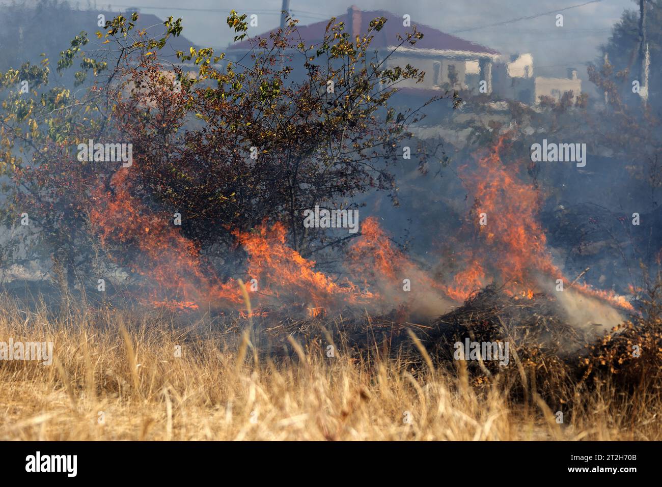 steppe fires during severe drought completely destroy fields. Disaster causes regular damage to environment and economy of region. The fire threatens Stock Photo