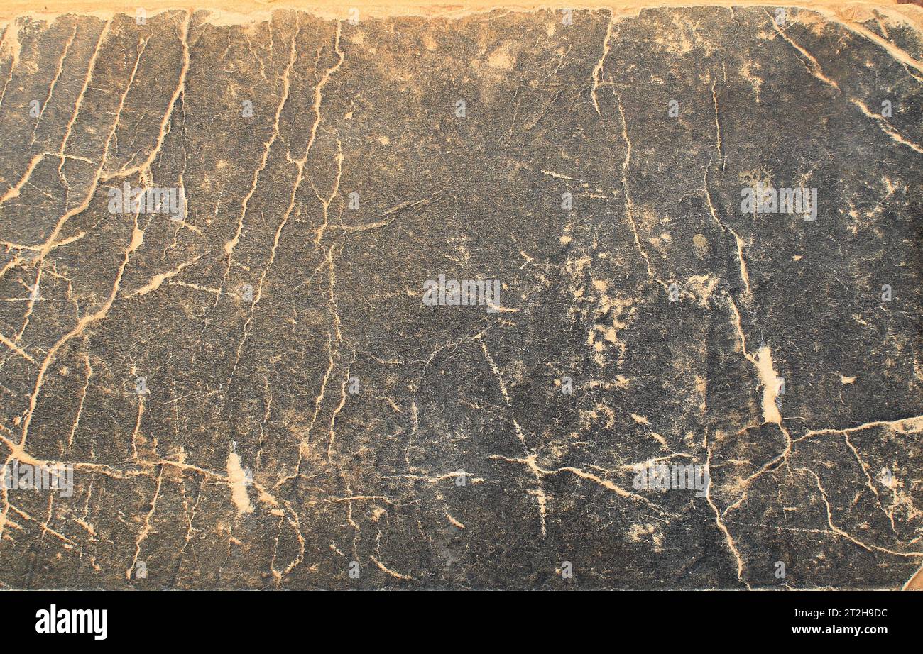 natural color Skin material fashion design wallpaper. black wall ...