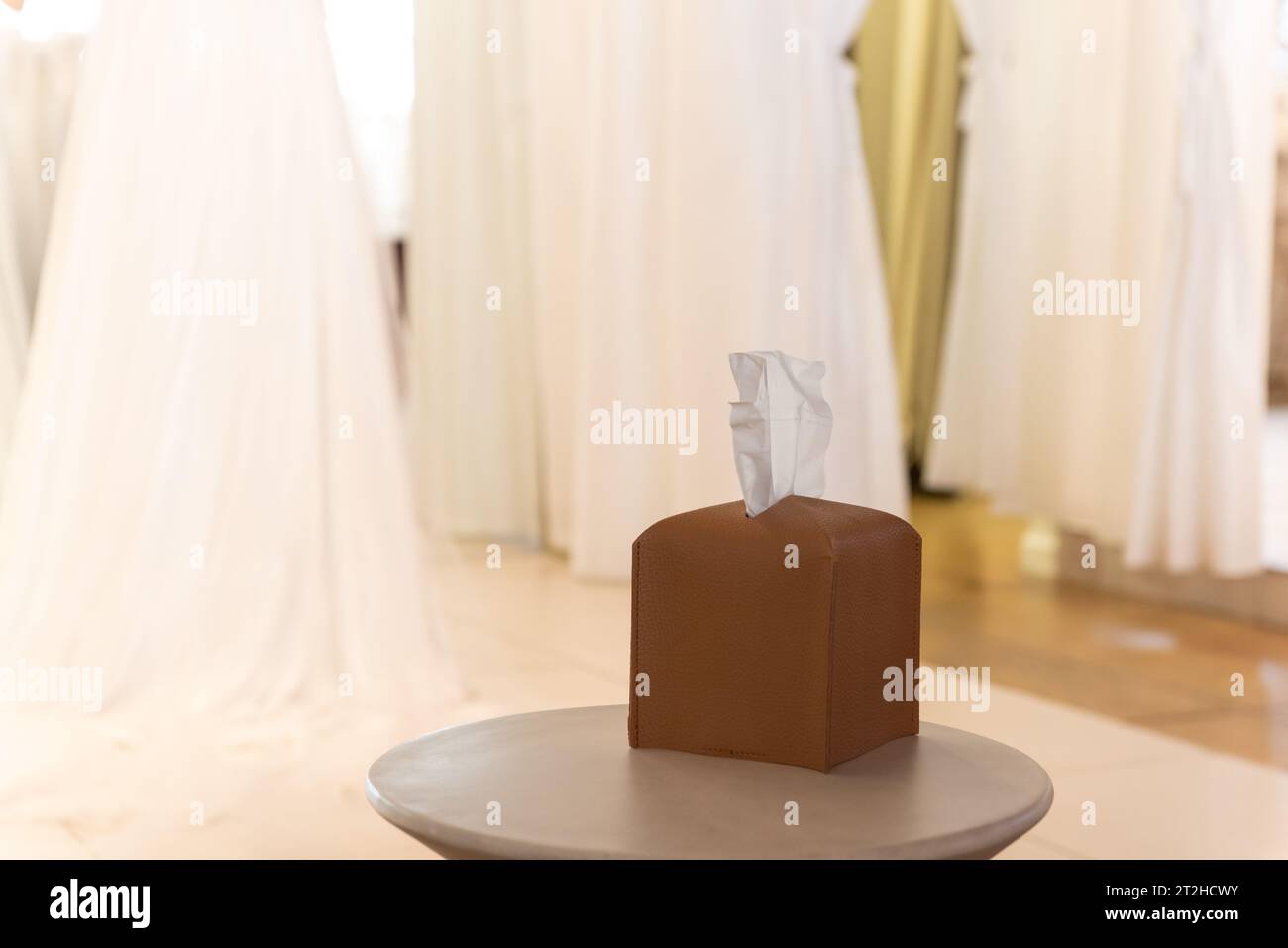 Wedding dress boutique store is fully prepared for all the emotions with a full box of tissues. Stock Photo