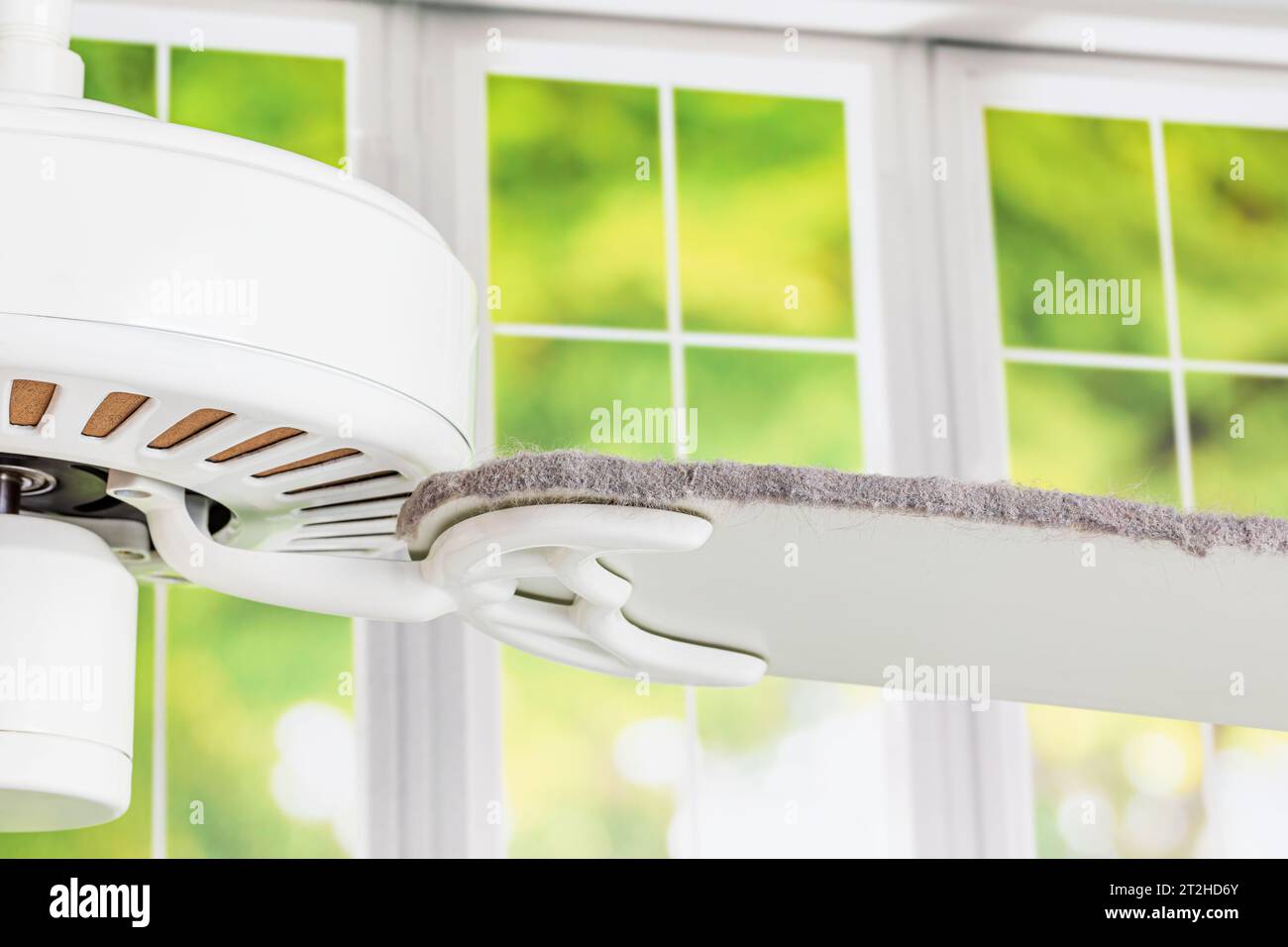 Dirty ceiling fan blade. Housekeeping, indoor allergies and spring cleaning concept Stock Photo
