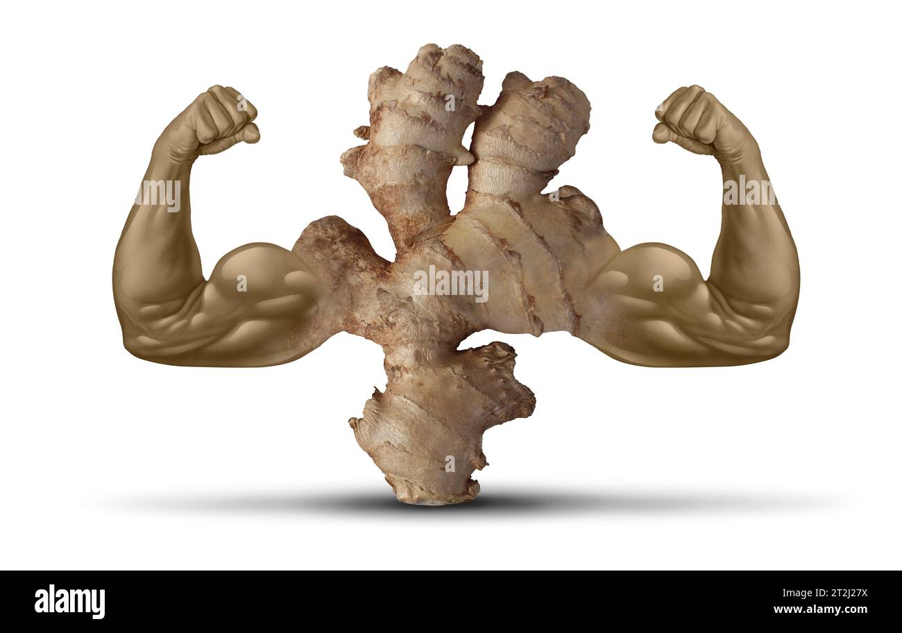 Power of Ginger medicine concept as a natural herbal medicinal root to fight off disease and pain as a metaphor for holistic or eastern traditional Stock Photo