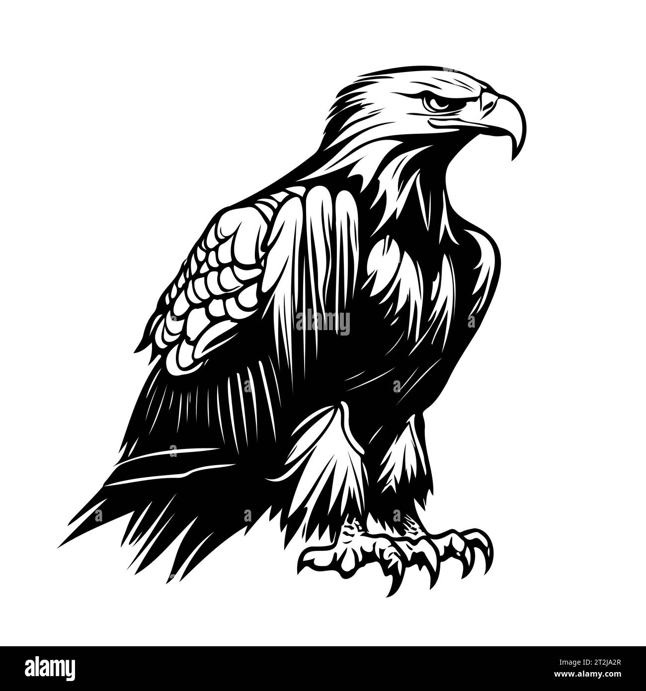 Hand drawn sketch eagle head black and white vector Stock Vector Image ...