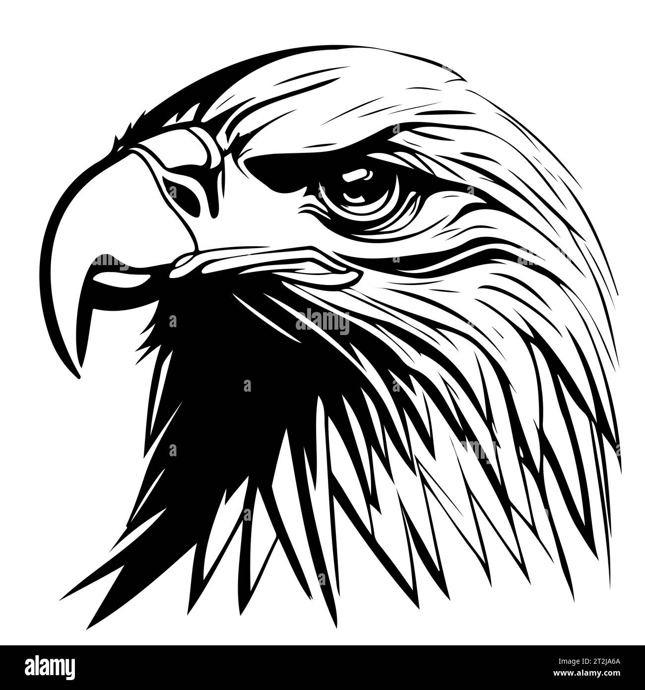 Hand drawn eagle head sketch in black and white vector. Drawing of bald