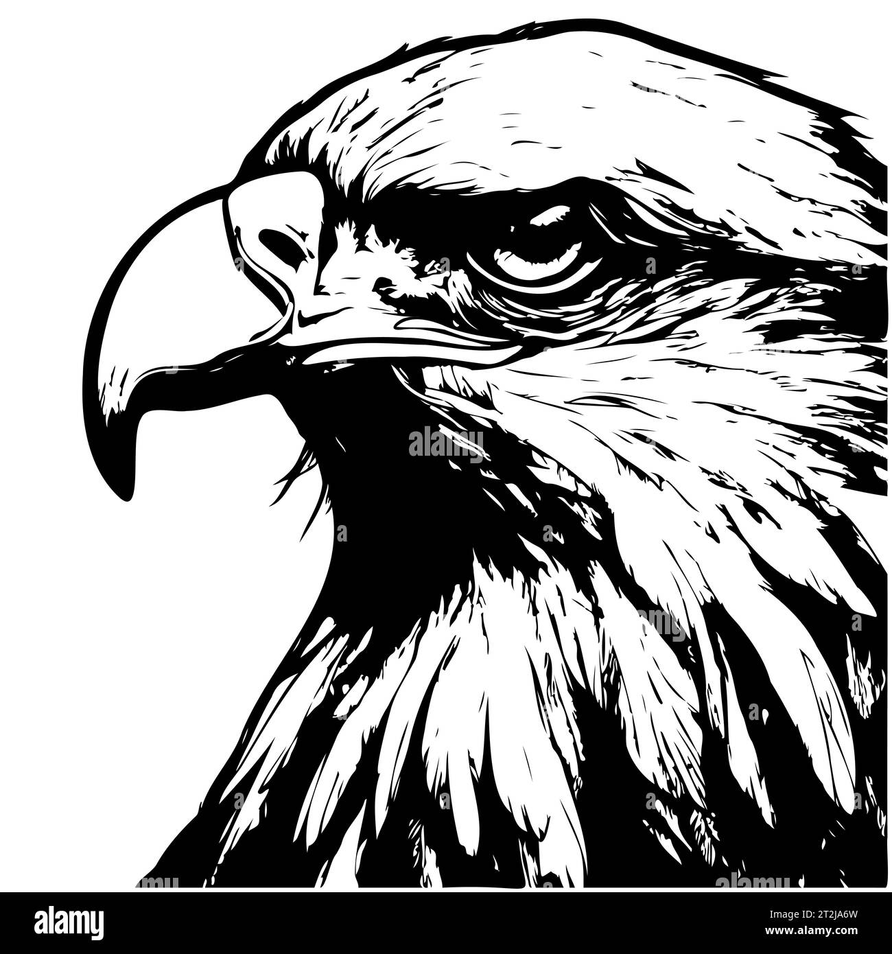 Hand drawn eagle head sketch in black and white vector. Drawing of bald
