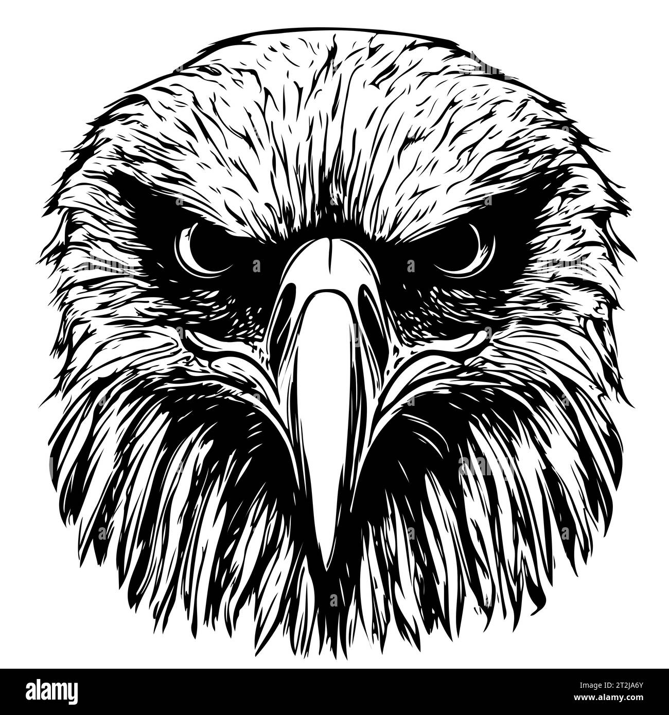 Hand drawn eagle head sketch in black and white vector. Drawing of bald