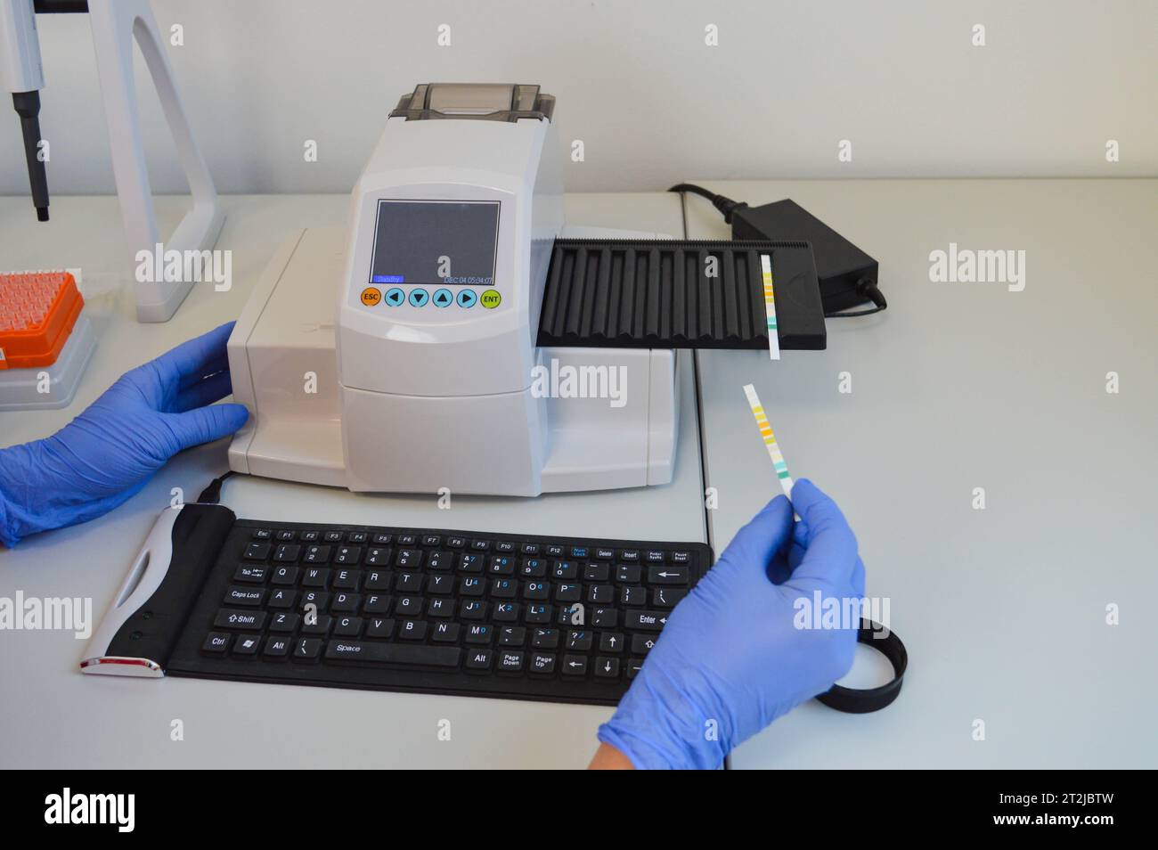 Scientist chemist holding ph test in his hands closeup. Stock Photo