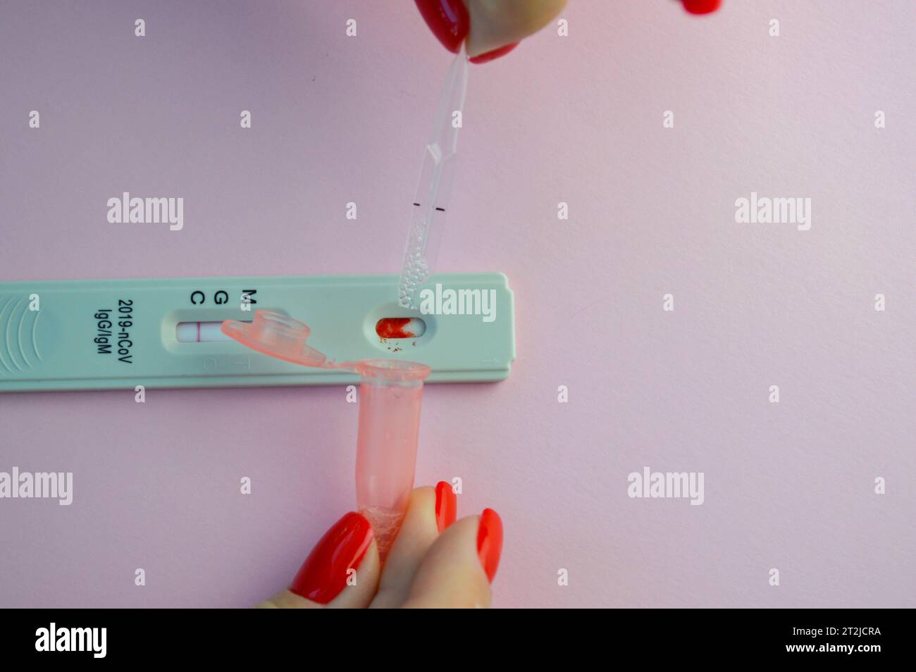 coronavirus test on a pink matte background. medical procedure. a physical solution is collected in a special container to accurately determine antibo Stock Photo