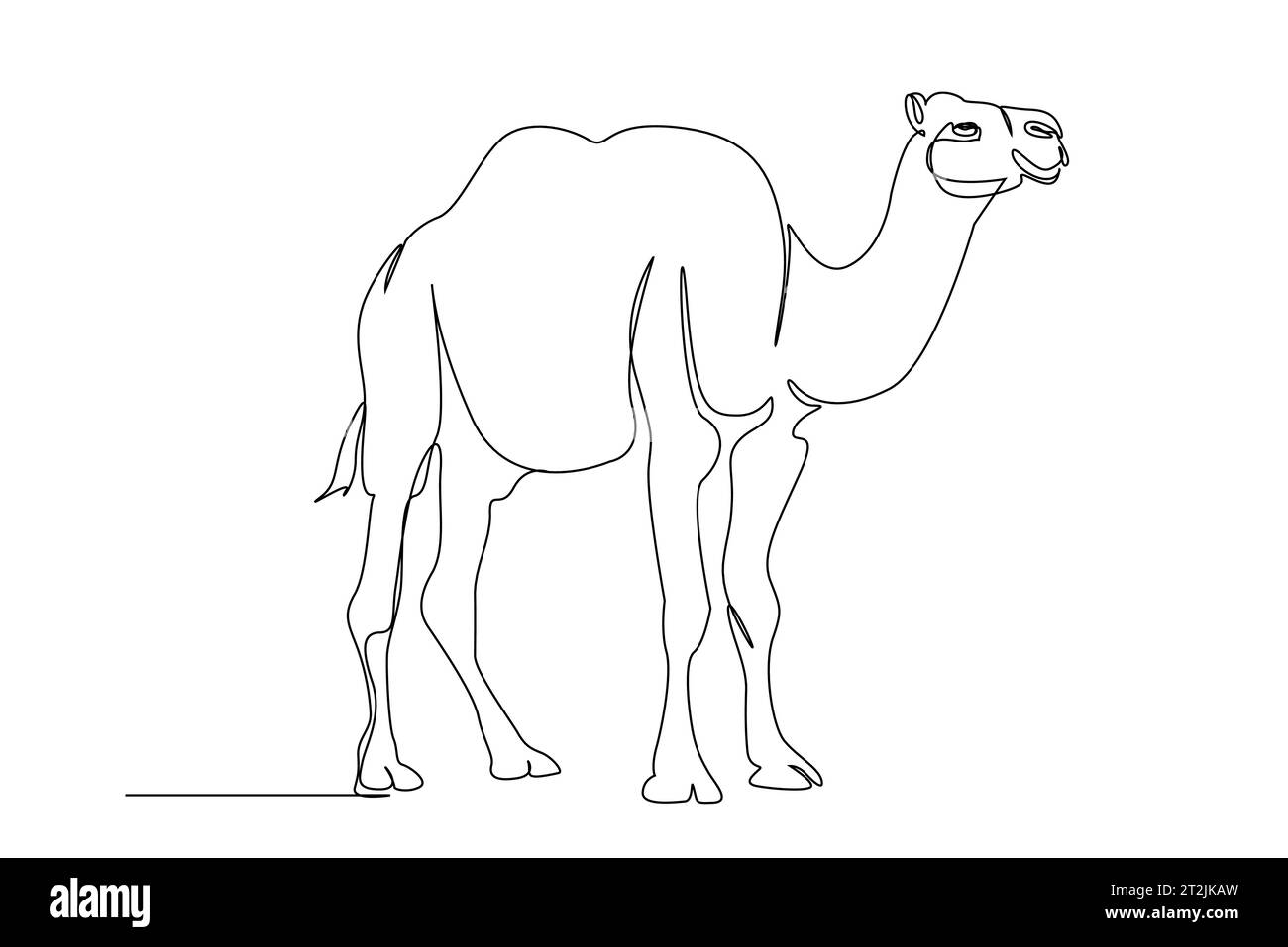 camel animal mammal full body length one single line art Stock Vector