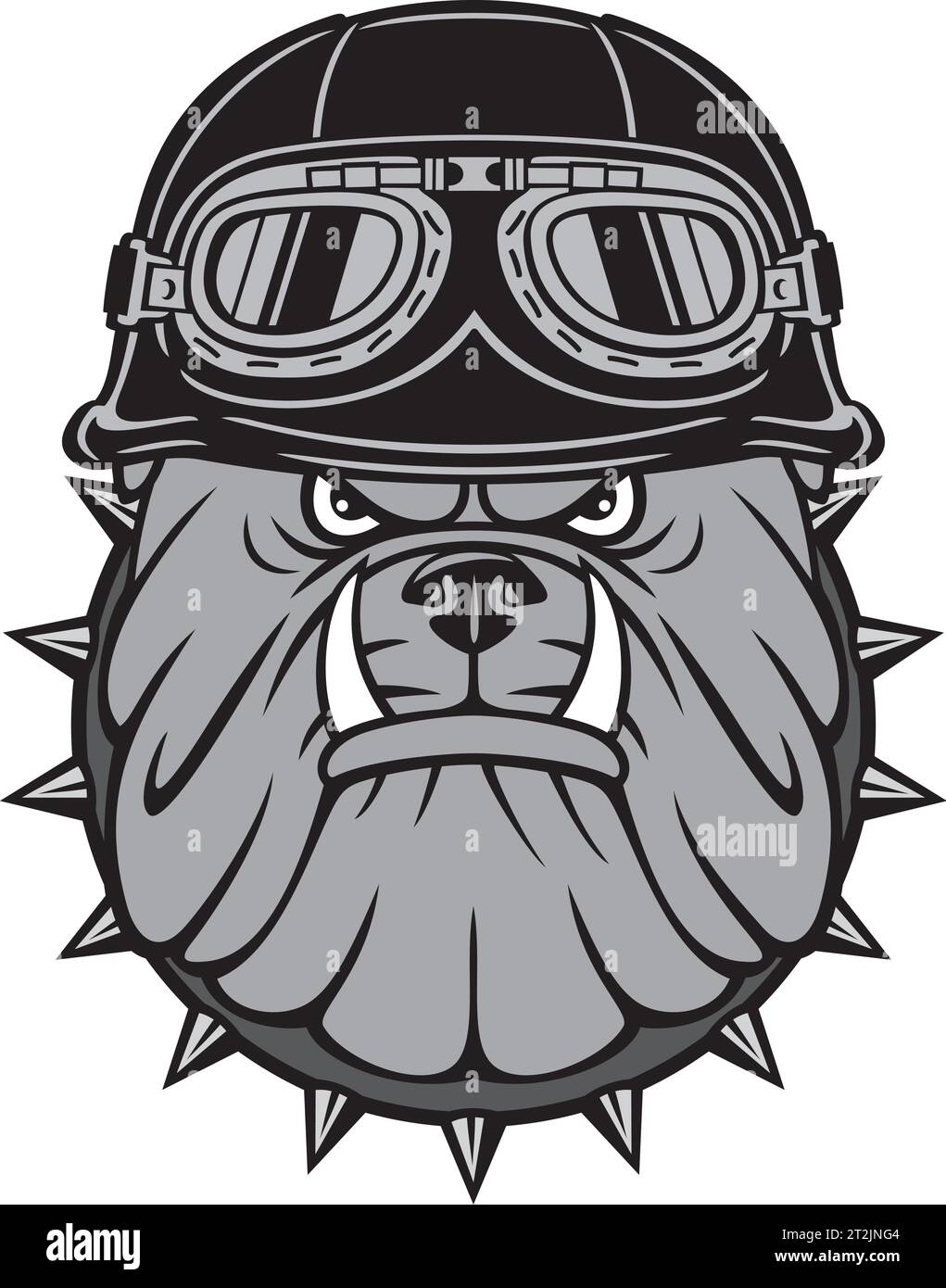 Angry Biker Bulldog Head with Motorcycle Helmet with Goggles Color. Vector Illustration. Stock Vector