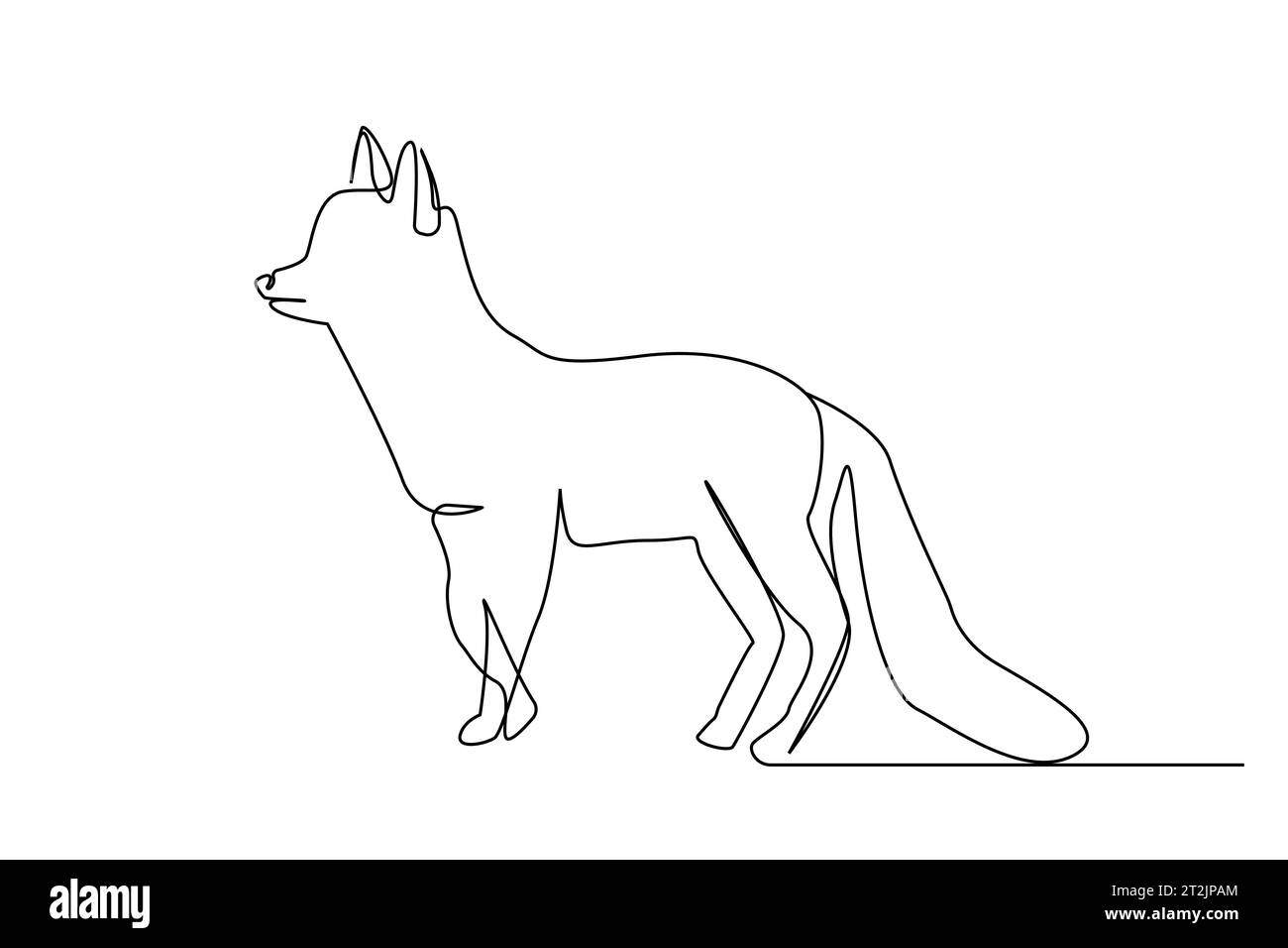 wolf fox animal line art full body length Stock Vector