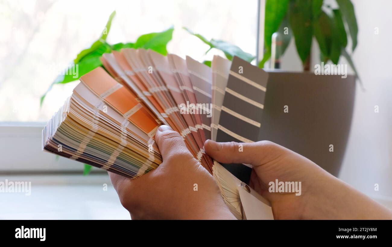 The designer holds pantone fan of color guide in hand. Selection of colors for the color of the walls apartment distribution during promotion concept Stock Photo