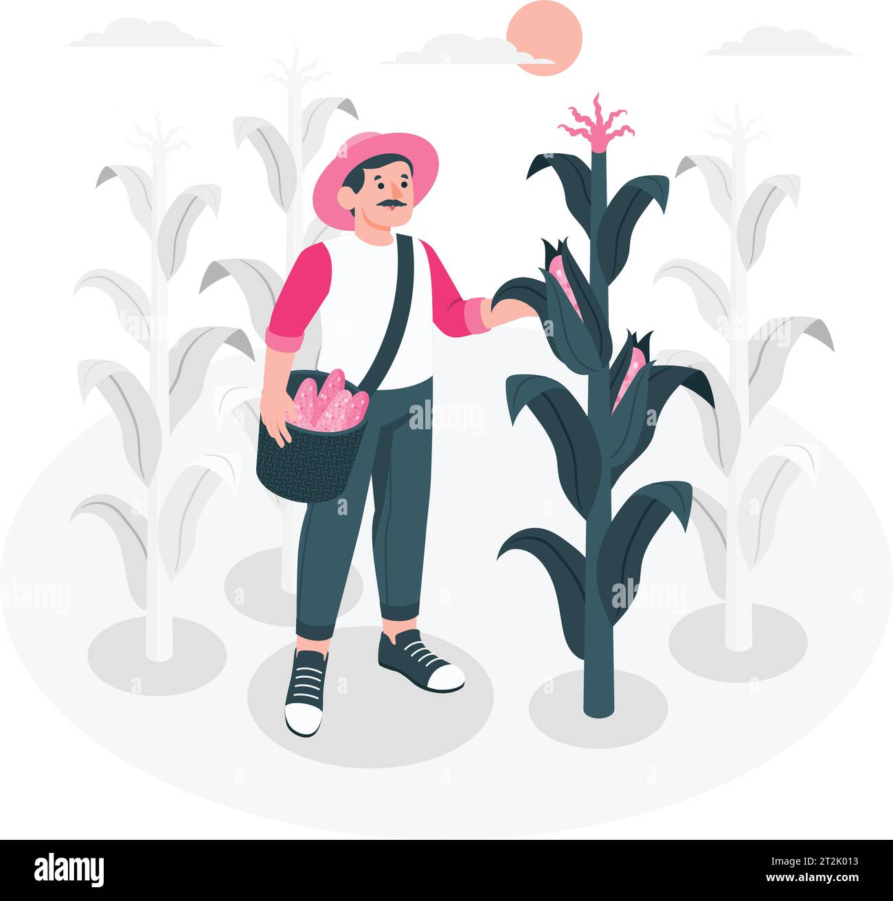 man farmer holding corn, man in overalls standing on corn field organic