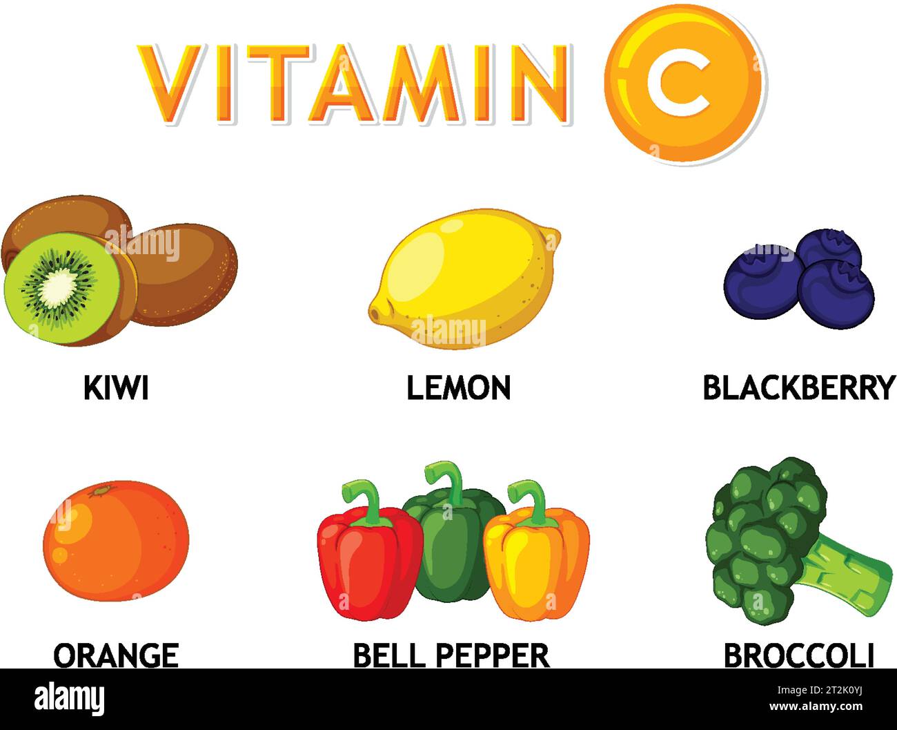 Illustration of vitamin Crich foods in a vector cartoon style Stock