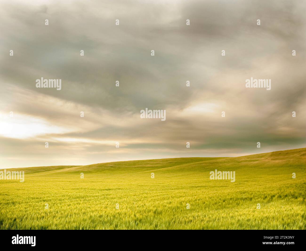 Lush green field extends hi-res stock photography and images - Alamy