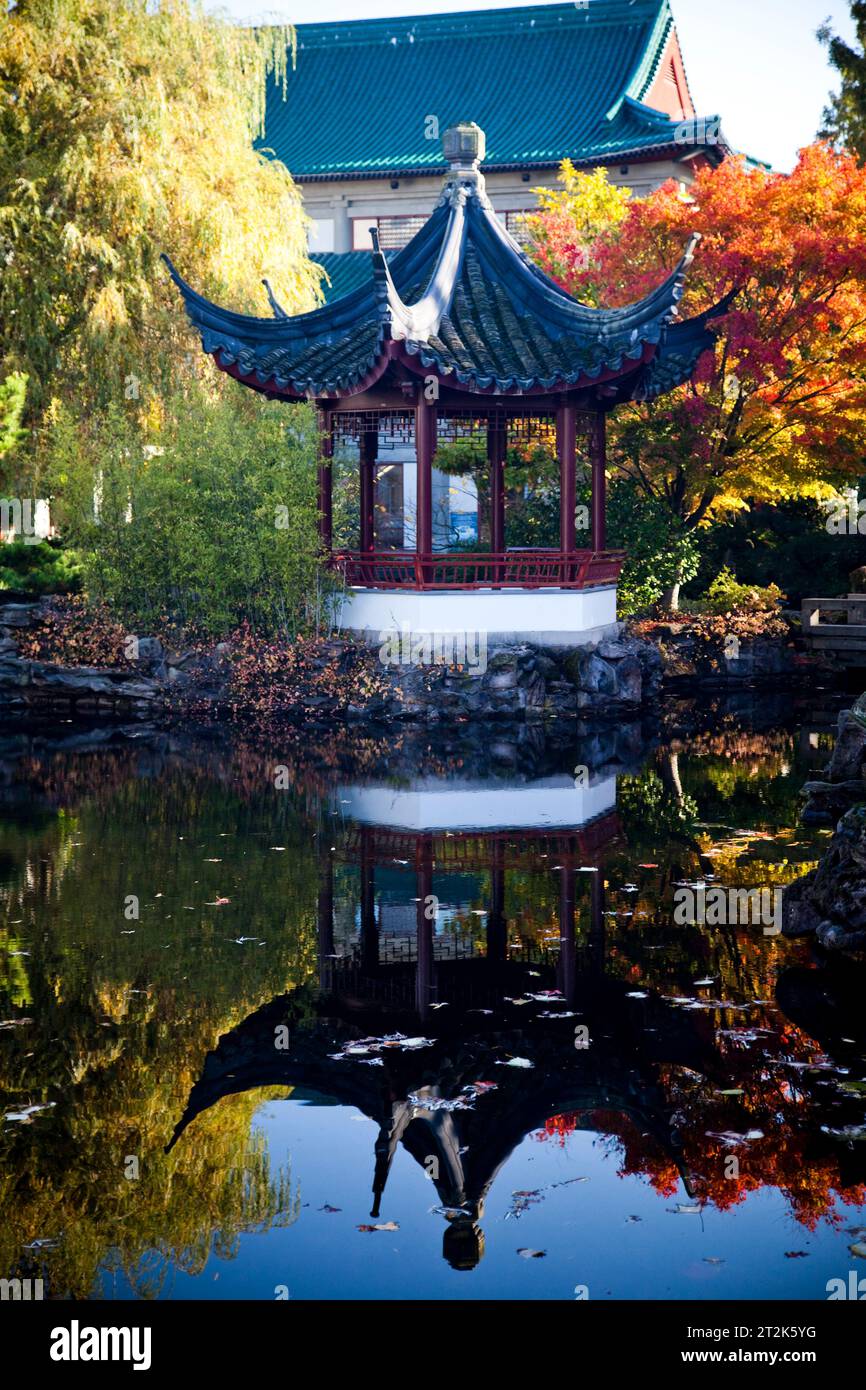 A Chinese garden during the Fall. Stock Photo