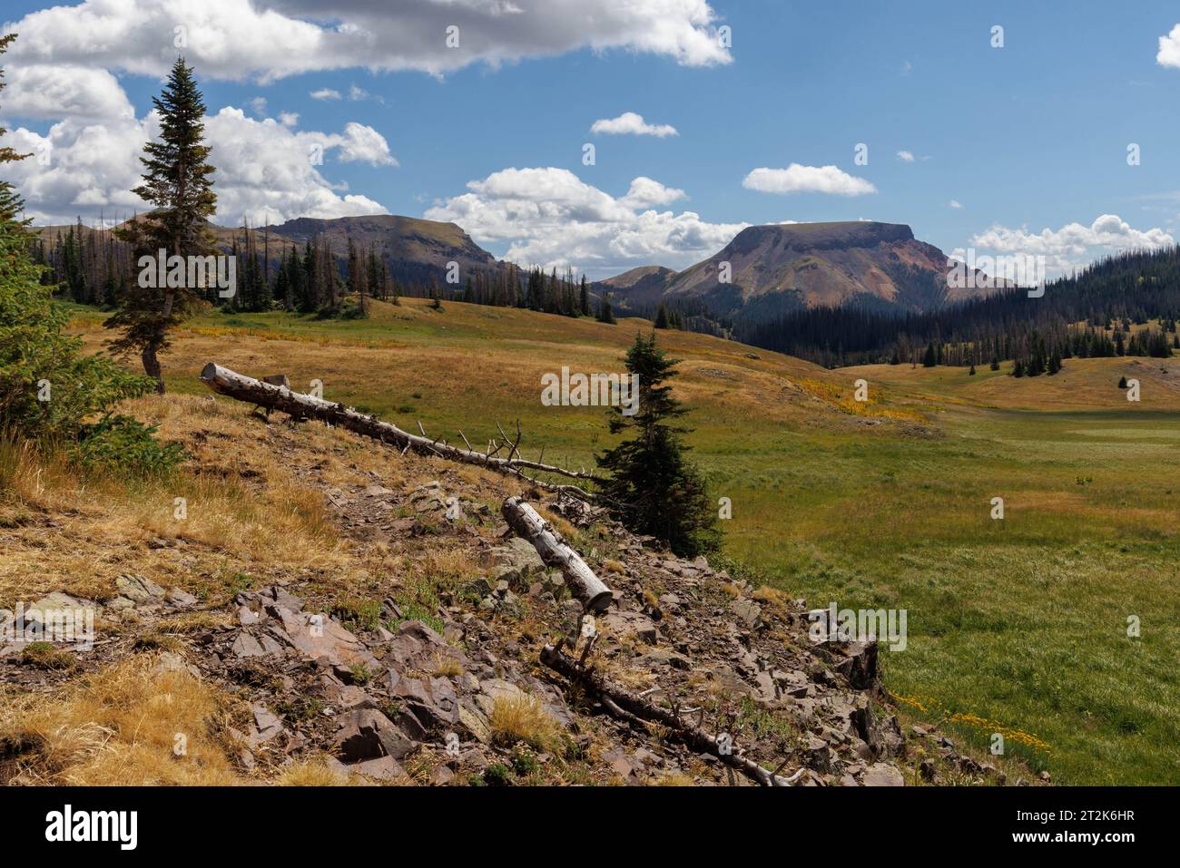 San juan national forest hi-res stock photography and images - Alamy
