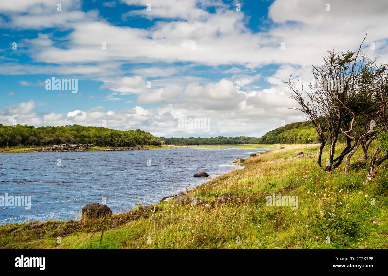 The lake at Coole Park Nature Reserve, is part of a system of ephemeral lakes or turloughs in the karst landscape west of Gort, County Galway Stock Photo