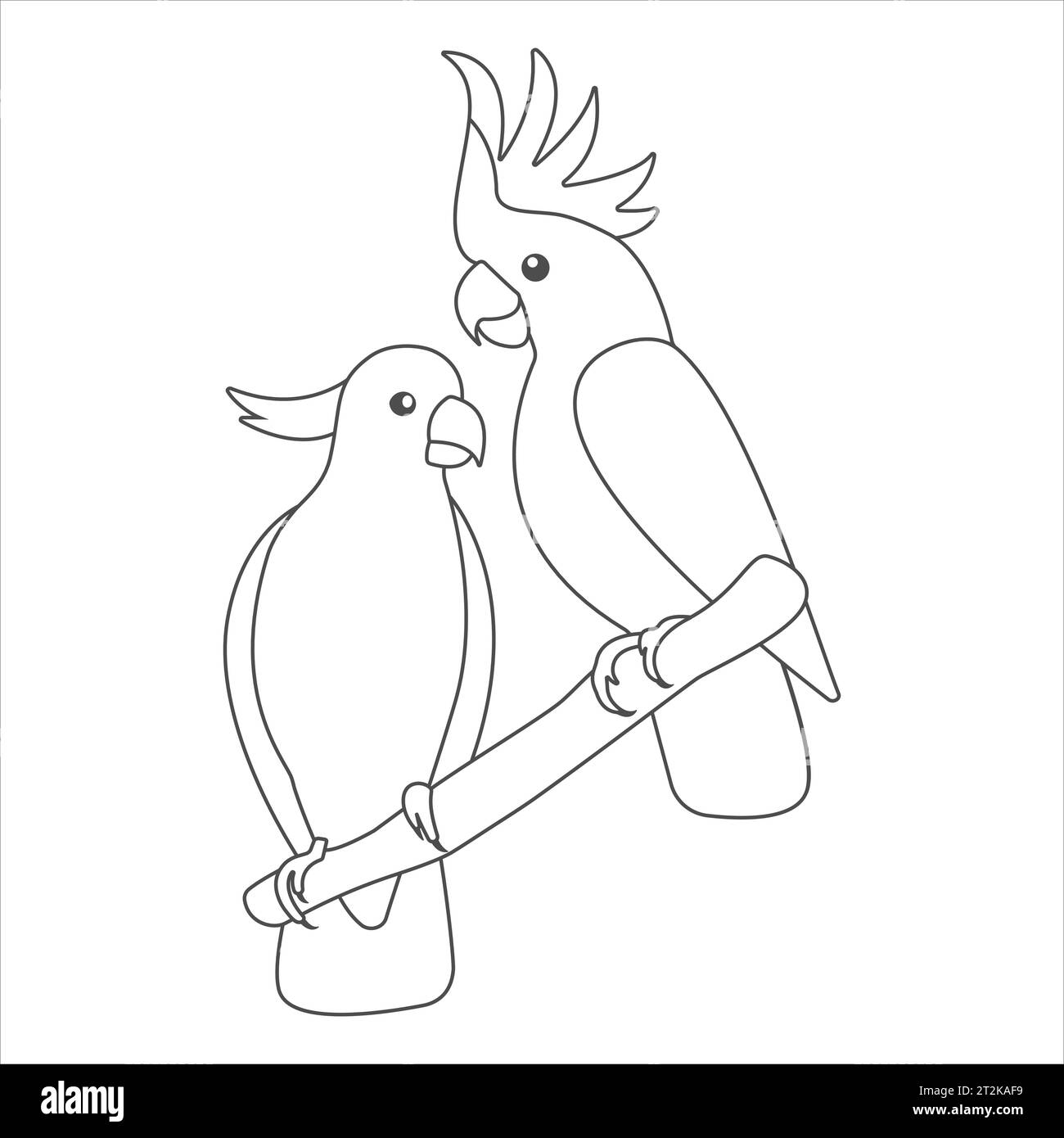 Draw Birds Parrot Drawing Clip Art - Parrot Drawing - Free Transparent PNG  Clipart Images Download