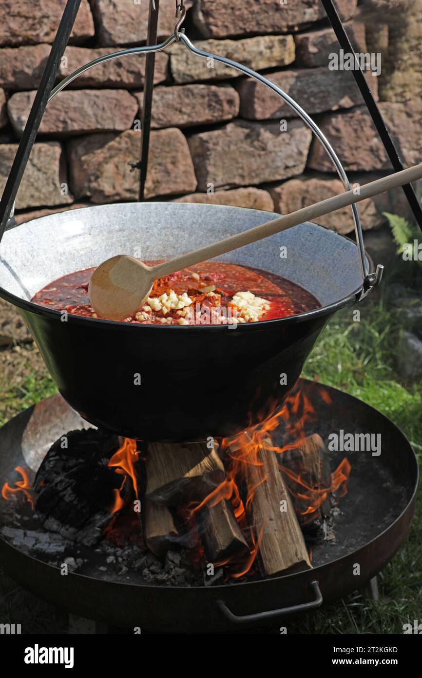 Marmite à Goulash Onlyfire 14L émaillée - Avec Grille, Poêle Et Rôtissoire, Pour Cuisson Extérieure