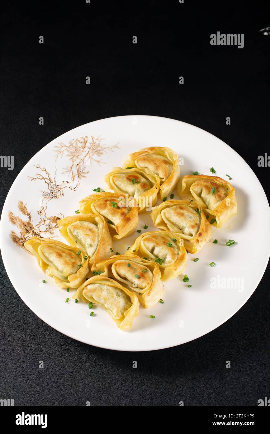 pan fried Wonton , pan Fry Chinese meat dumpling,Gyoza (Japanese style