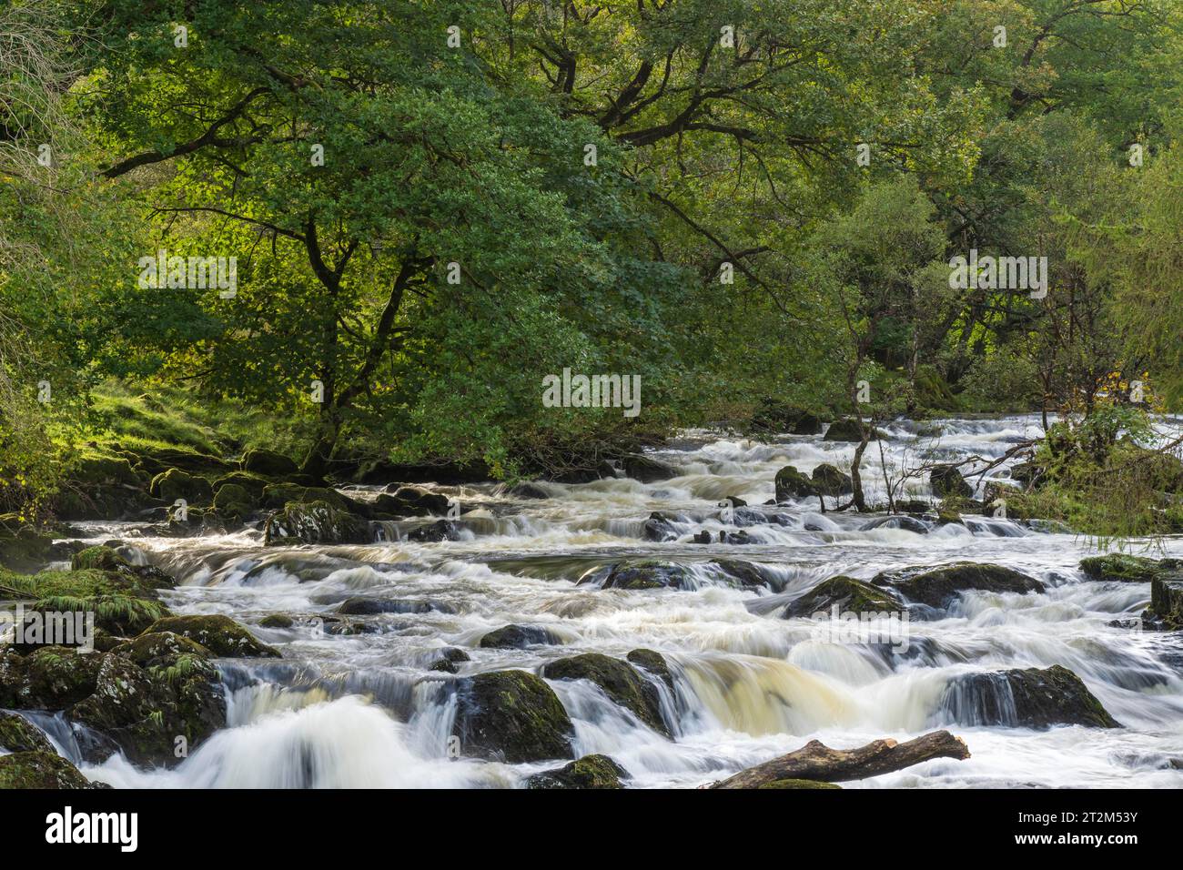 Swallow Falls, River Llugwy, Snowdonia National Park, Wales, United Kingdom Stock Photo