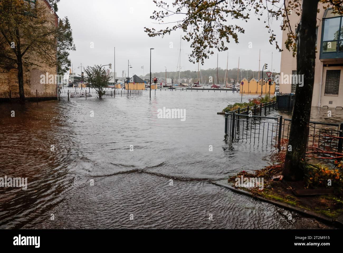 flensburg-germany-20th-oct-2023-water-makes-its-way-through-the