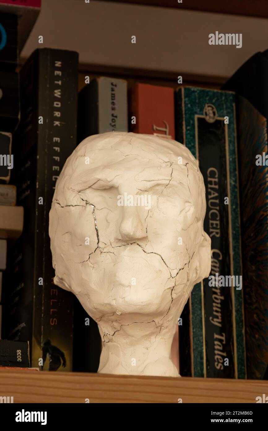 A clay sculpture of a head on a bookcase. The surface is cracked and