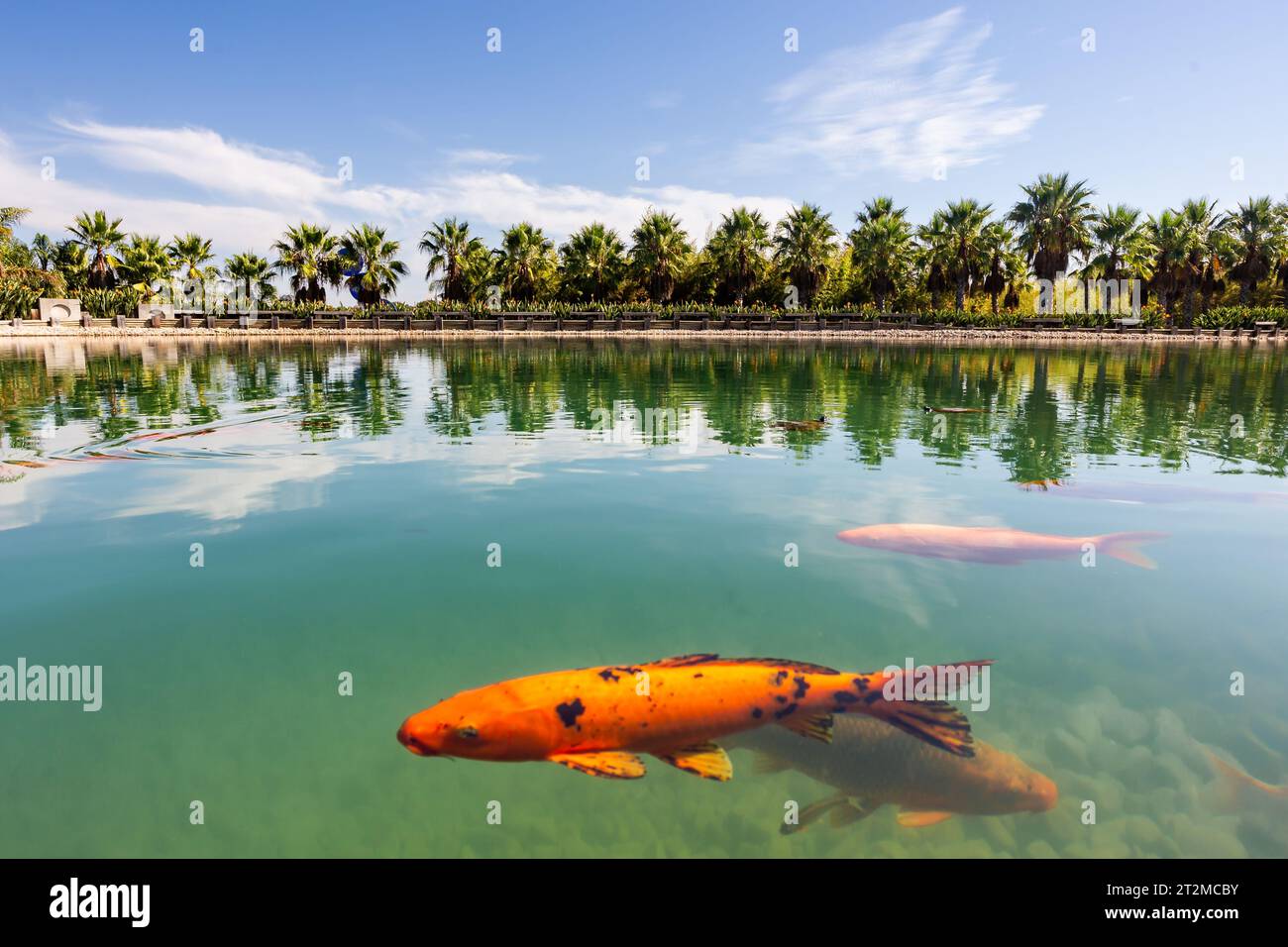 buddha statues in the famous Bacalhoa Buddha Eden Garden in Portugal Stock Photo