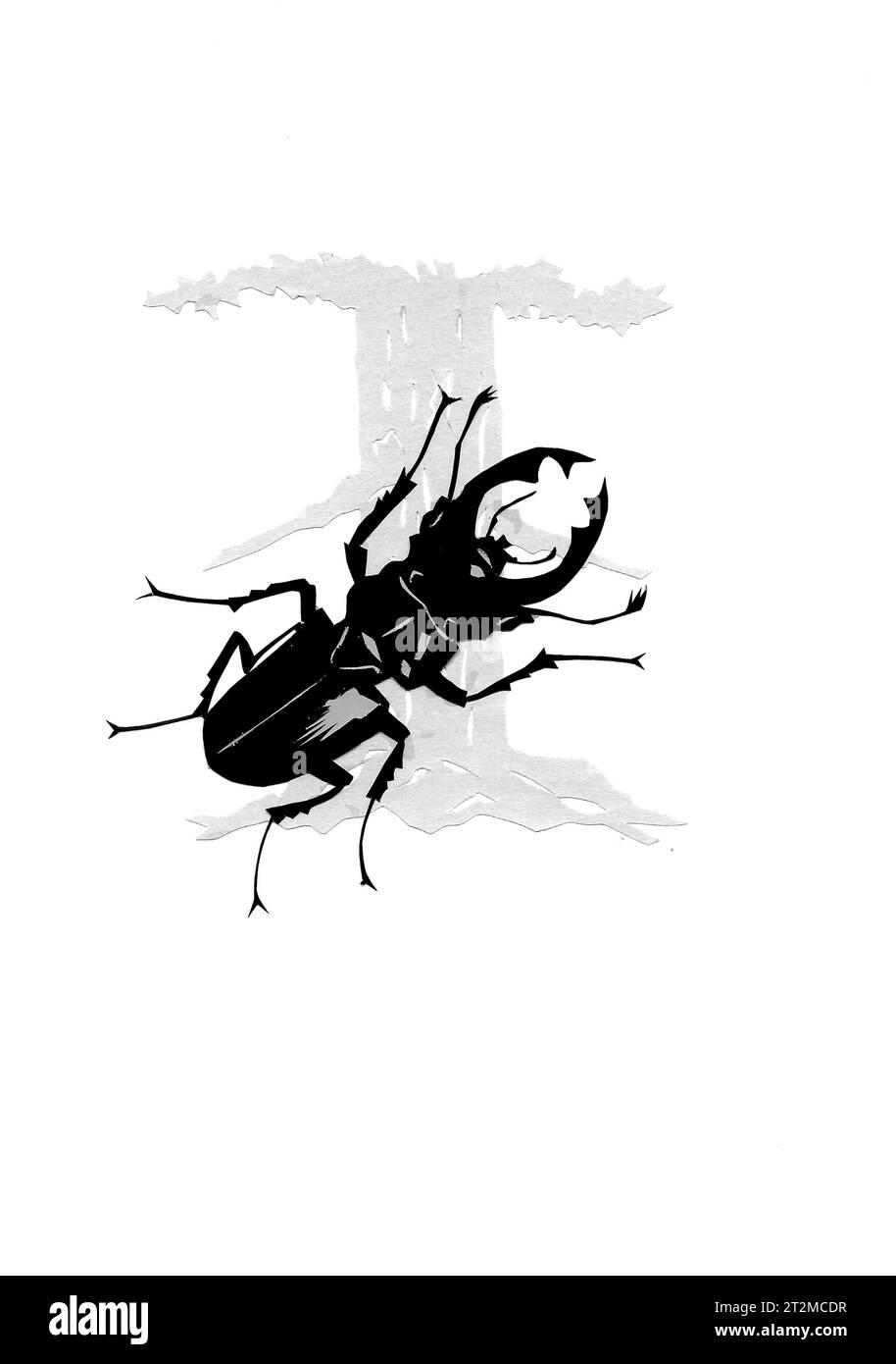 Paper Cut Insect Paper cut of insects Stock Photo - Alamy