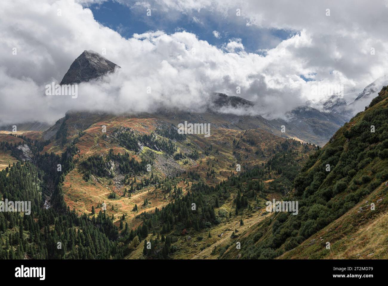 Clouds surround the mountain slopes of Mount Hangerer above the pine forests in the Gurgler Valley in autumn, Ötztal Alps, Tyrol, Austria Stock Photo