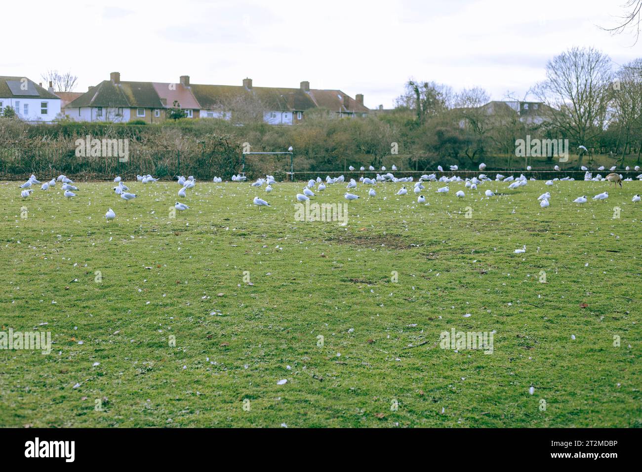 Ilford, east London Stock Photo Alamy