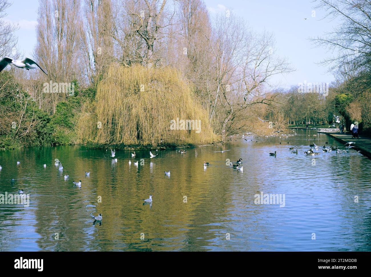 Barking, east London Stock Photo Alamy
