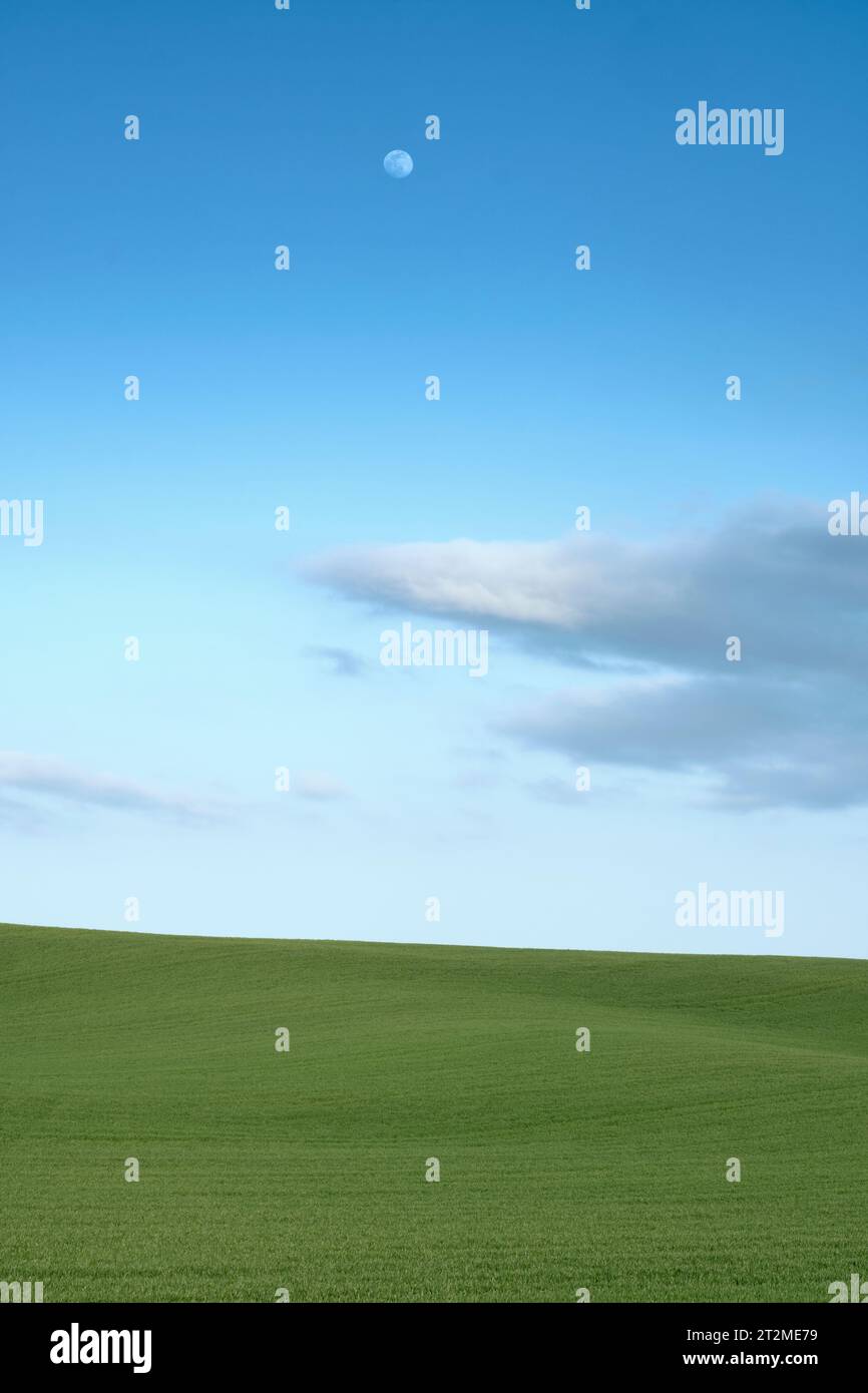 Landscape of a green quiet meadows to the horizon and blue sky with clouds and moon. Stock Photo