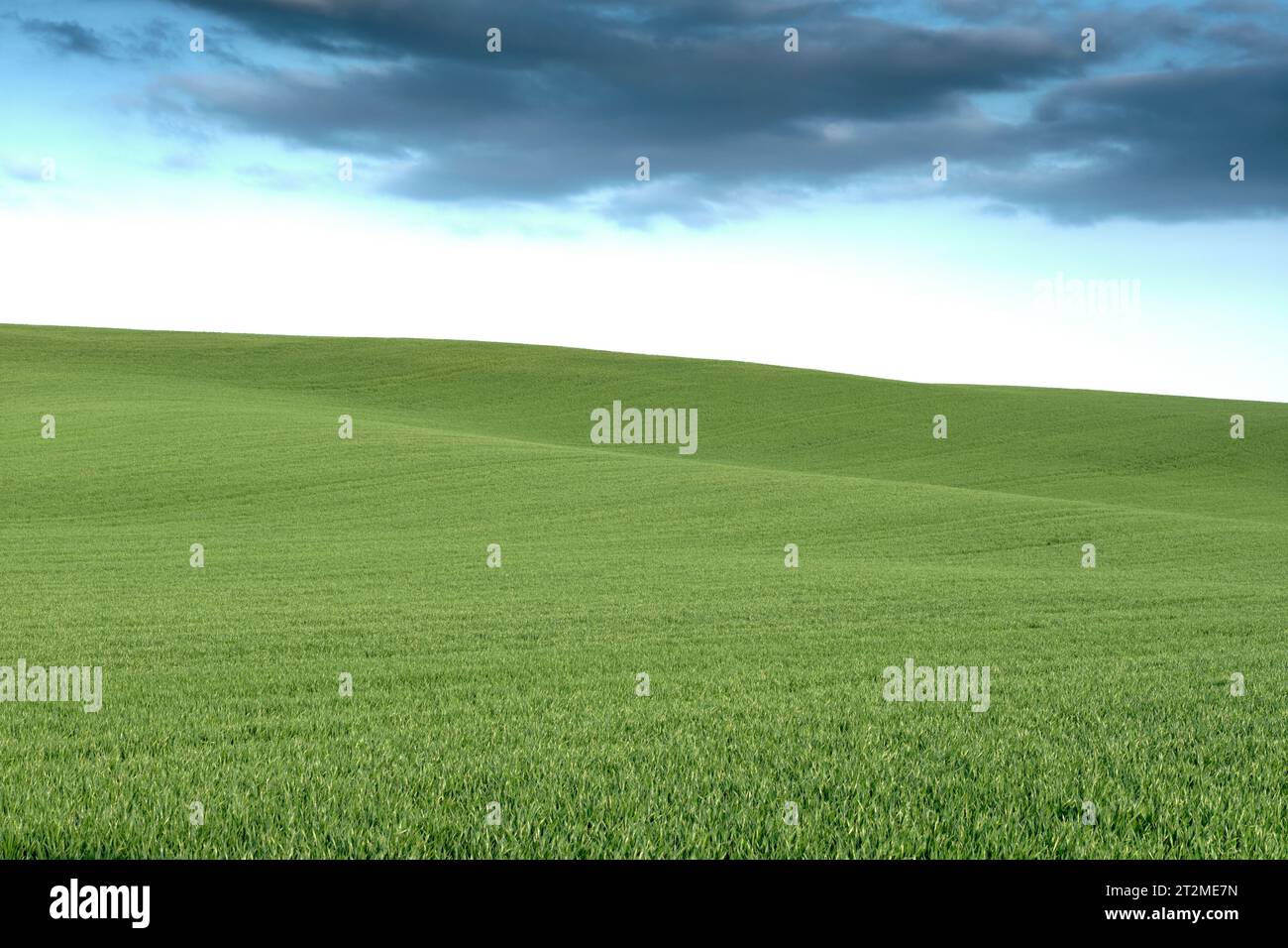 Landscape of a green quiet meadows to the horizon and blue sky with clouds. Stock Photo