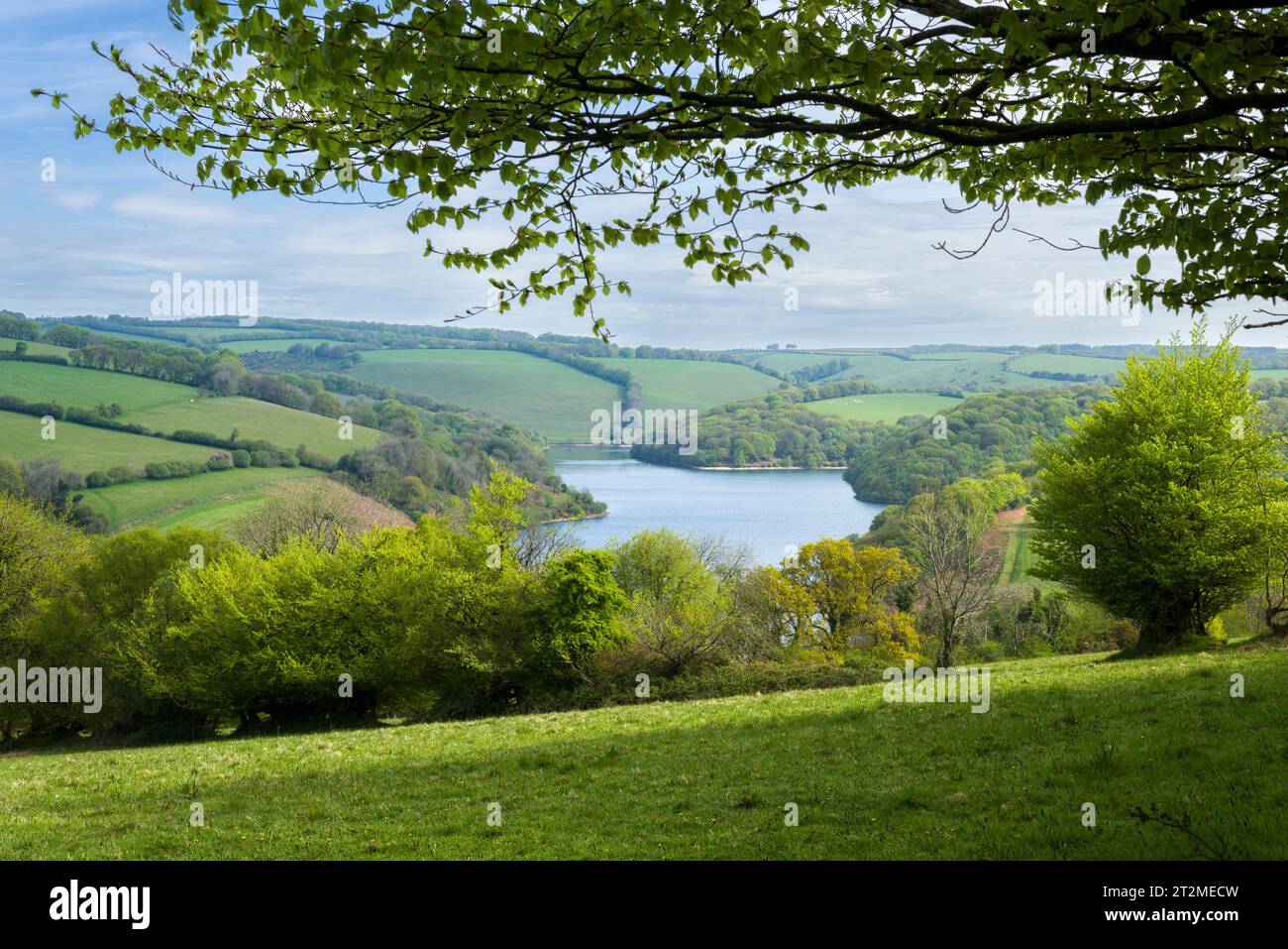 Clatworthy Reservoir in the Brendon Hills, Somerset, England. Stock Photo