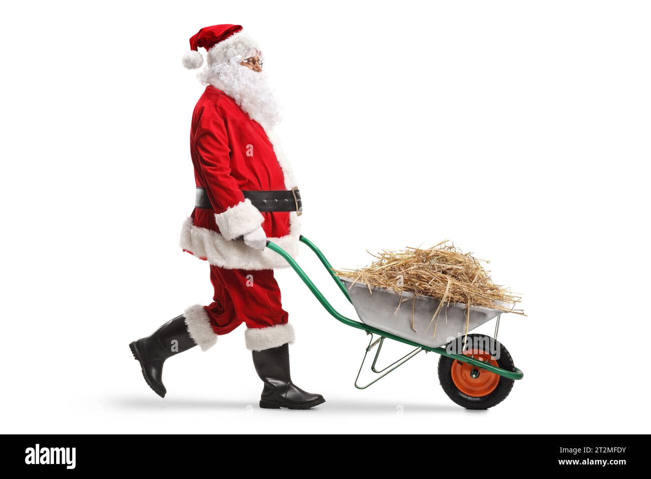Santa claus walking and pushing hay in a wheelbarrow isolated on white background Stock Photo