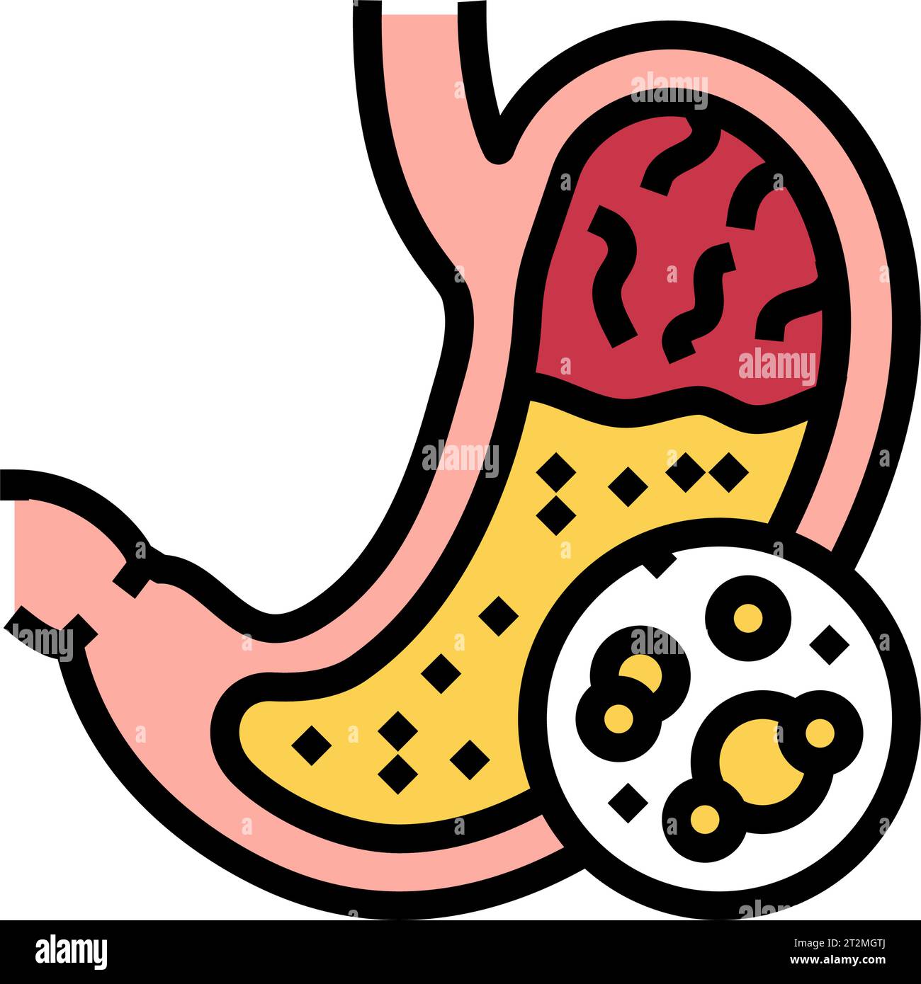digestive enzymes gastroenterologist color icon vector illustration