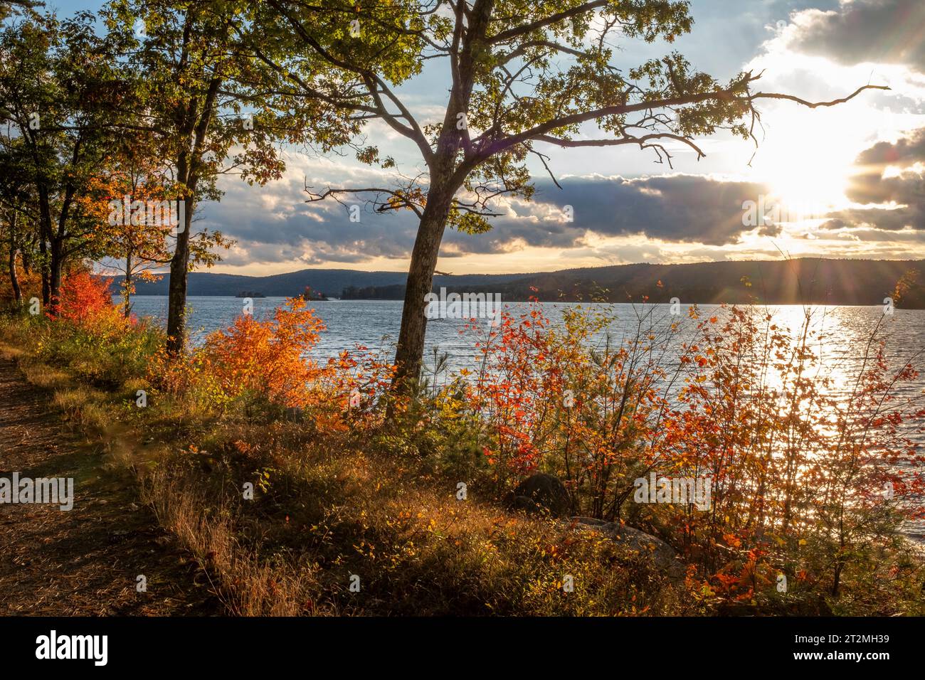 Fall colors at Gate 35 in the Quabbin Reservoir Stock Photo